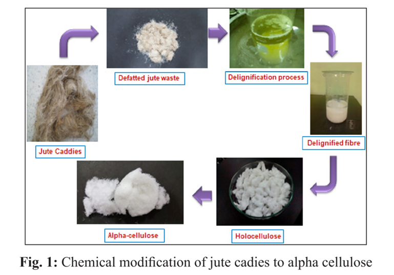 Chemical Modification of Jute